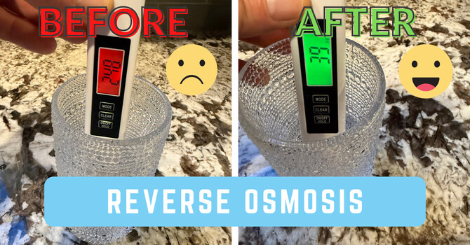 Clean Water, Clear Conscience: Our Reverse Osmosis Journey